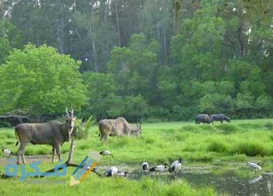 عنصر يتحكم في معدل نمو الجماعات الحيوية
