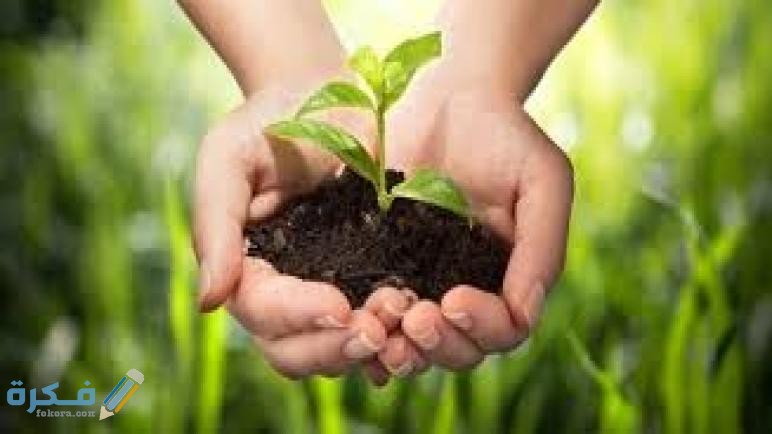 يعد النبات الطبيعي من أهم العوامل المؤثرة في توزيع الحيوانات على سطح الأرض 5 inbound2593580045697072863