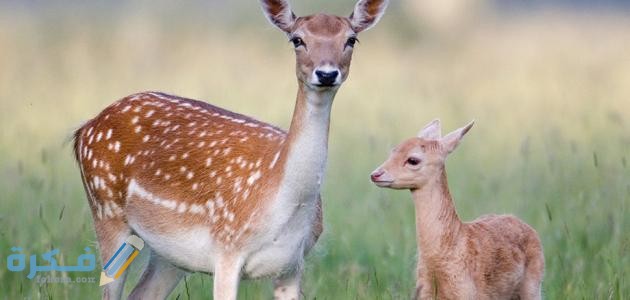 inbound5827916857722565147