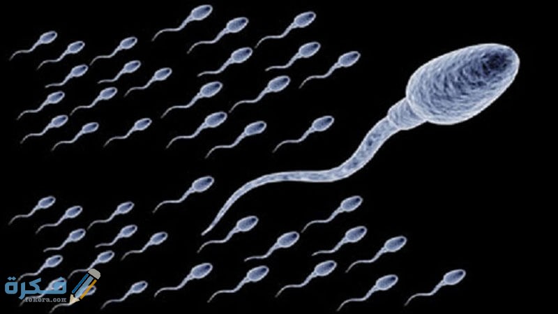 most important 4 methods treatment poor sperm movement phenomenon