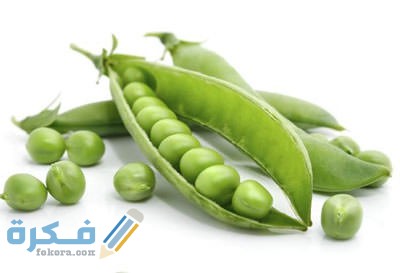 في تجربة منديل لنبات البازلاء ظهرت الصفة السائدة