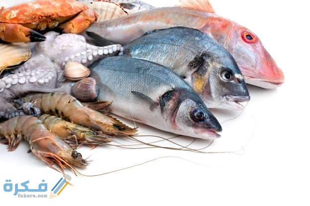 انواع السمك في السعودية 4 افضل انواع السمك في السعودية