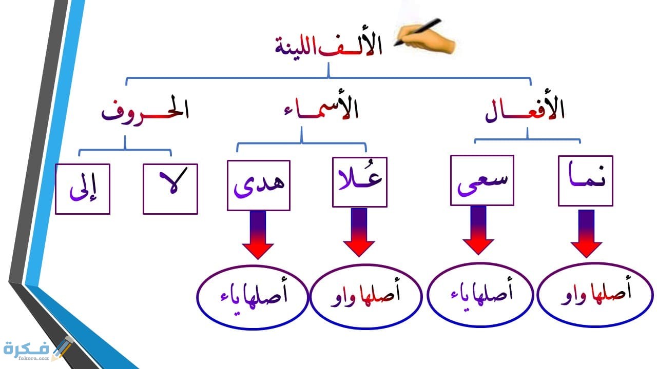 شرح الالف اللينة واستخدامتها في العربية