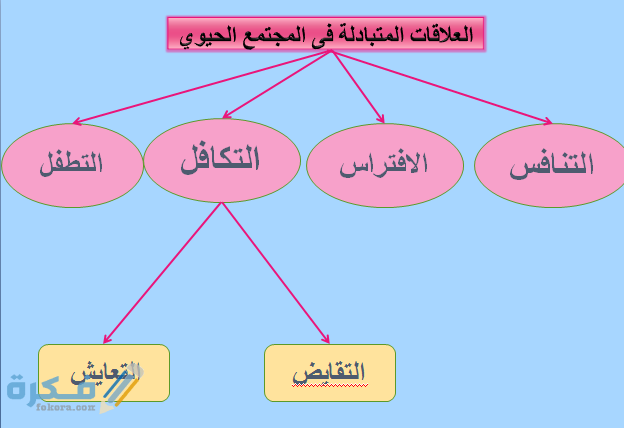 عددي العوامل اللاحيوية للمخلوقات الحية ضمن الغلاف الجوي