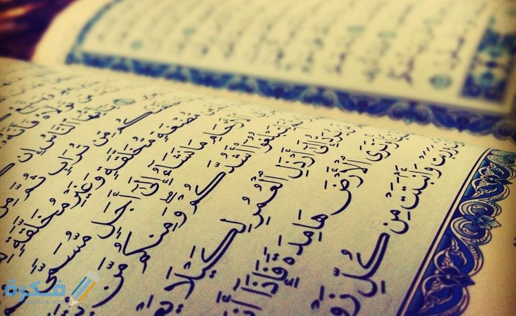 المشبه بالحمار يحمل أسفارا في الآيات هم 750x460 1