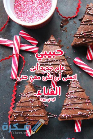 صور سنة جديدة حبيبي 4