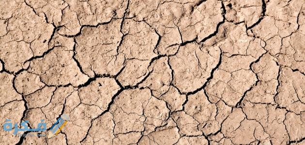 ما الذي يحدث في وقت الجفاف وعندما يندر وجود الماء لدى بعض الكائنات الحية 