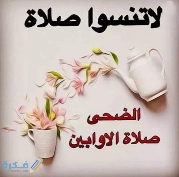 صحة حديث صلاة الأوابين حين ترمض الفصال وفضل صلاة الأوابين 5 056d1e7f87e3297d25feefcbe1b429f8f0335b90r1 1069 1058v2 uhq