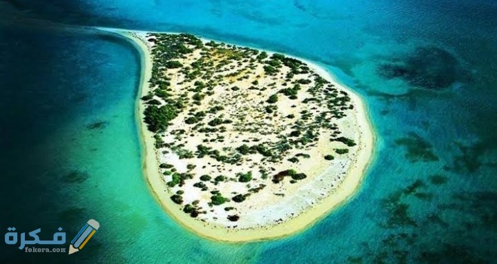 IMG ٢٠٢١٠١١١ ٠١١٢٥٦