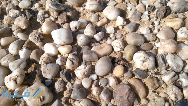 الحجارة في المنام