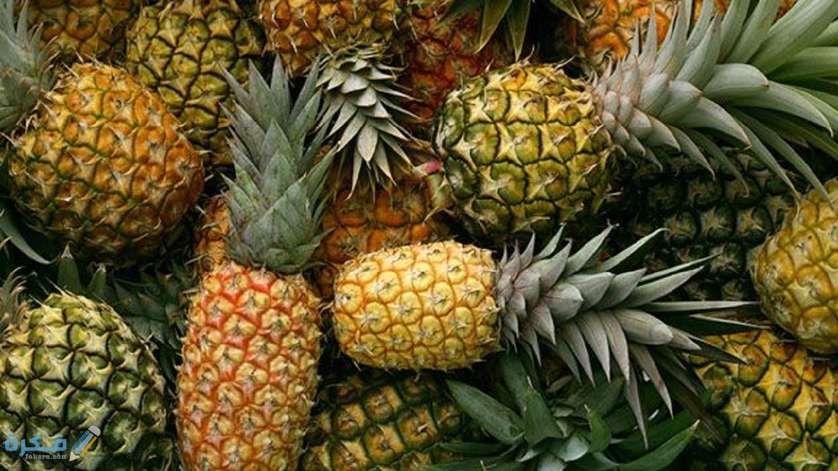 طريقة زراعة الأناناس في المنزل