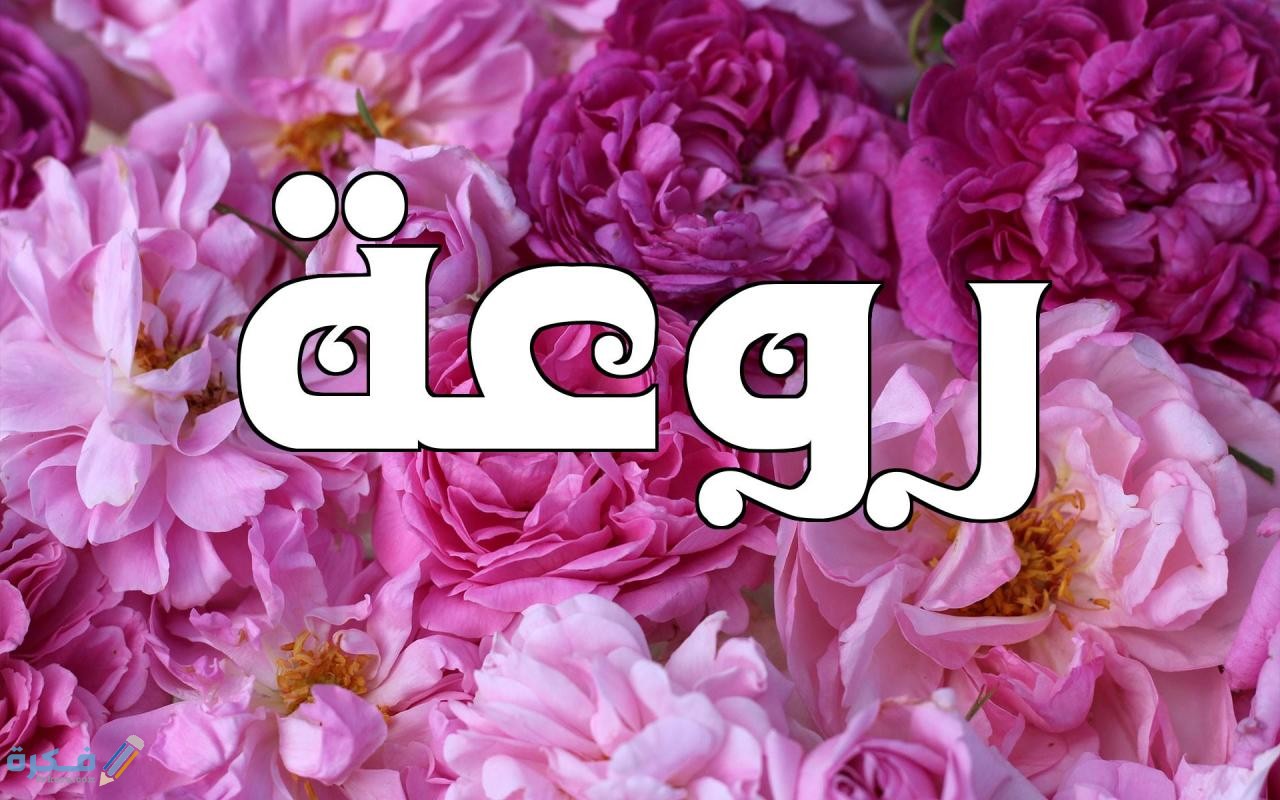 الرد على كلمة روعة 2 1069