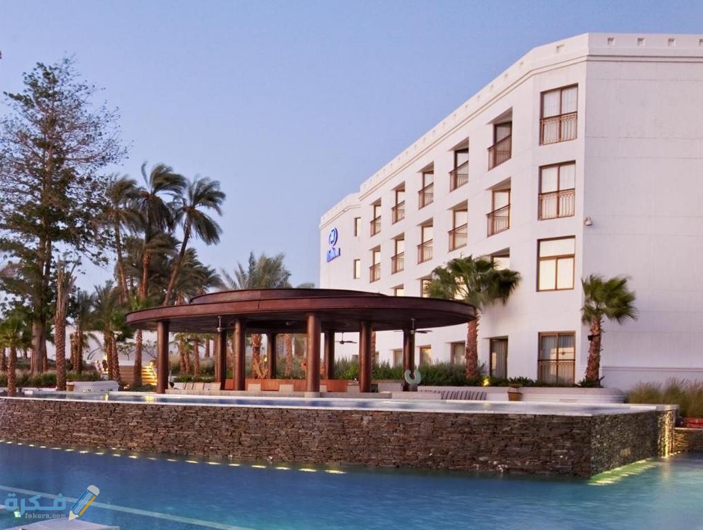 162016 18022807260062422042