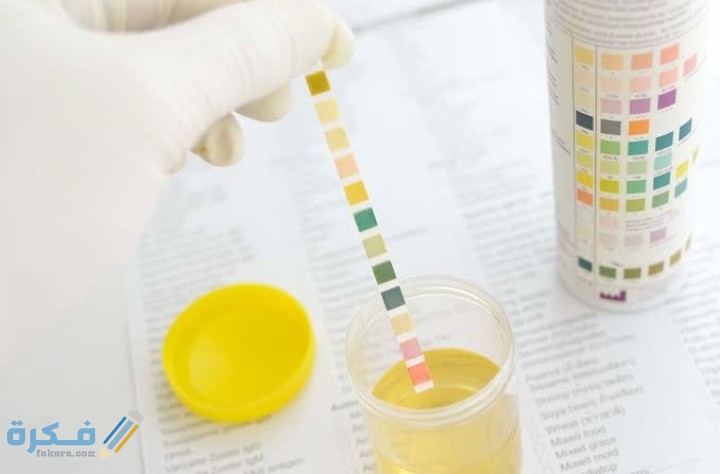 IMG ٢٠٢١٠٢٠٣ ١٩١٤٣٩