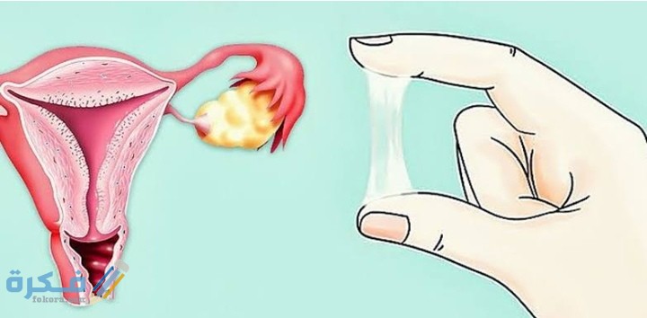 IMG ٢٠٢١٠٢٠٩ ٢٠٢٦٣٠