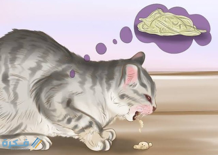 IMG ٢٠٢١٠٢١٢ ١٦٤٣٠٩