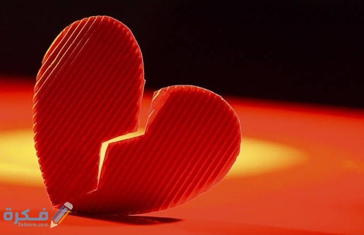 IMG ٢٠٢١٠٢١٤ ٠١٢٤١٥