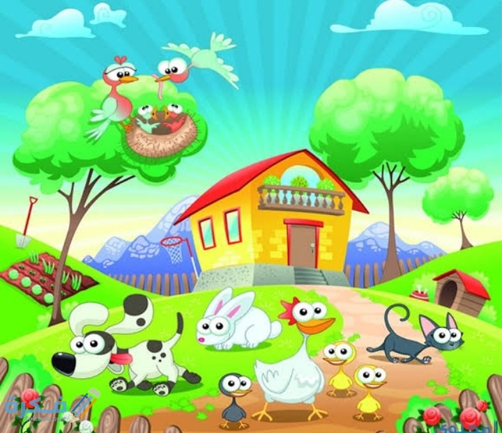 IMG ٢٠٢١٠٢٢١ ٠٠٤٥٠٢