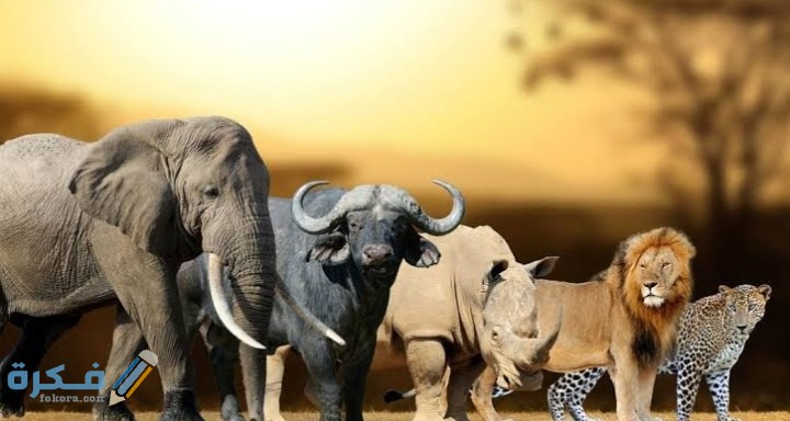 IMG ٢٠٢١٠٢٢١ ٠٠٤٥١١