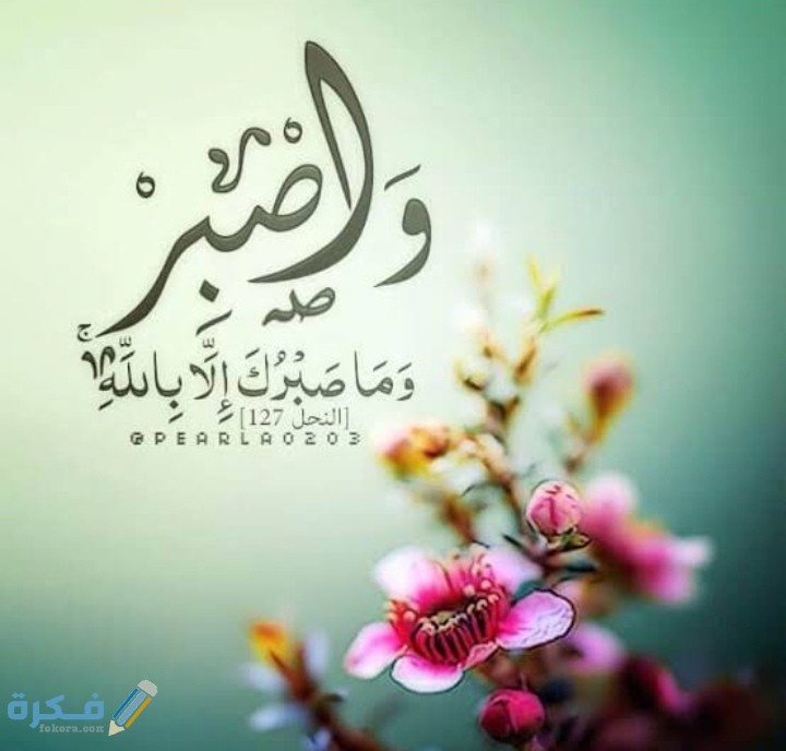 IMG ٢٠٢١٠٢٢٢ ٠٨١٢٣٣