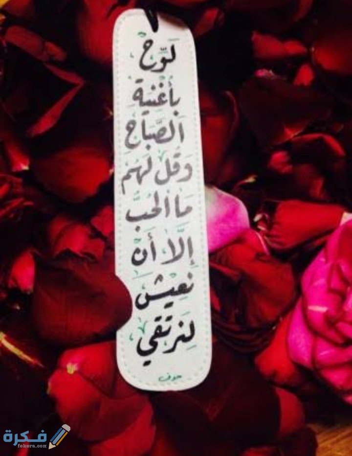 عبارات غزل لدغدعة القلب بالحب 5 IMG ٢٠٢١٠٢٢٥ ٠٢٥٣٠٣