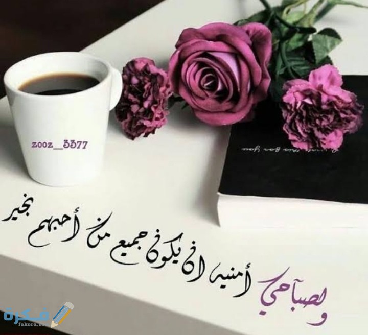 IMG ٢٠٢١٠٢٢٧ ٠٩٣٦٥٩