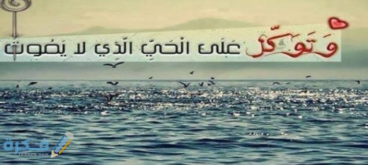 IMG ٢٠٢١٠٢٢٧ ٠٩٤١٥٤