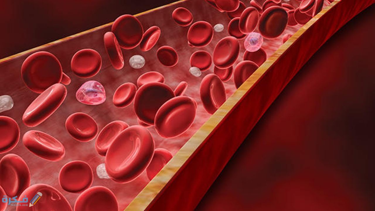 عدد كريات الدم البيضاء 30000 وما هو سبب تغير المعدل الطبيعي لها في الجسم 8 أسباب تغير المعدل الطبيعي لها في الجسم