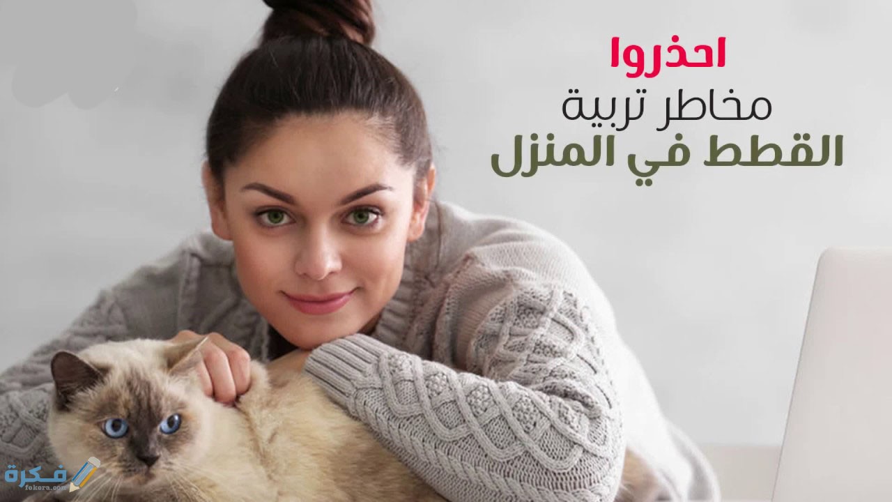 تاثير القطط على الصحة الانجابية للبنات