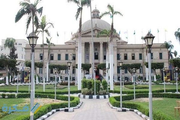 أفضل 5 كليات أدبية في مصر