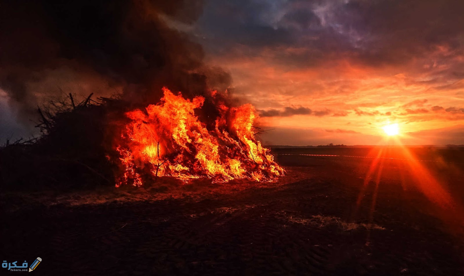 تفسير حلم يوم القيامة