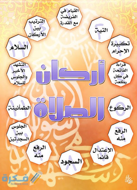 111831dreamjordan.com