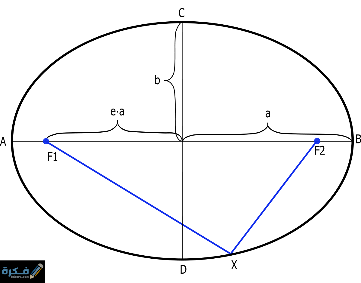 أمثلة على حساب مساحة البيضاوي