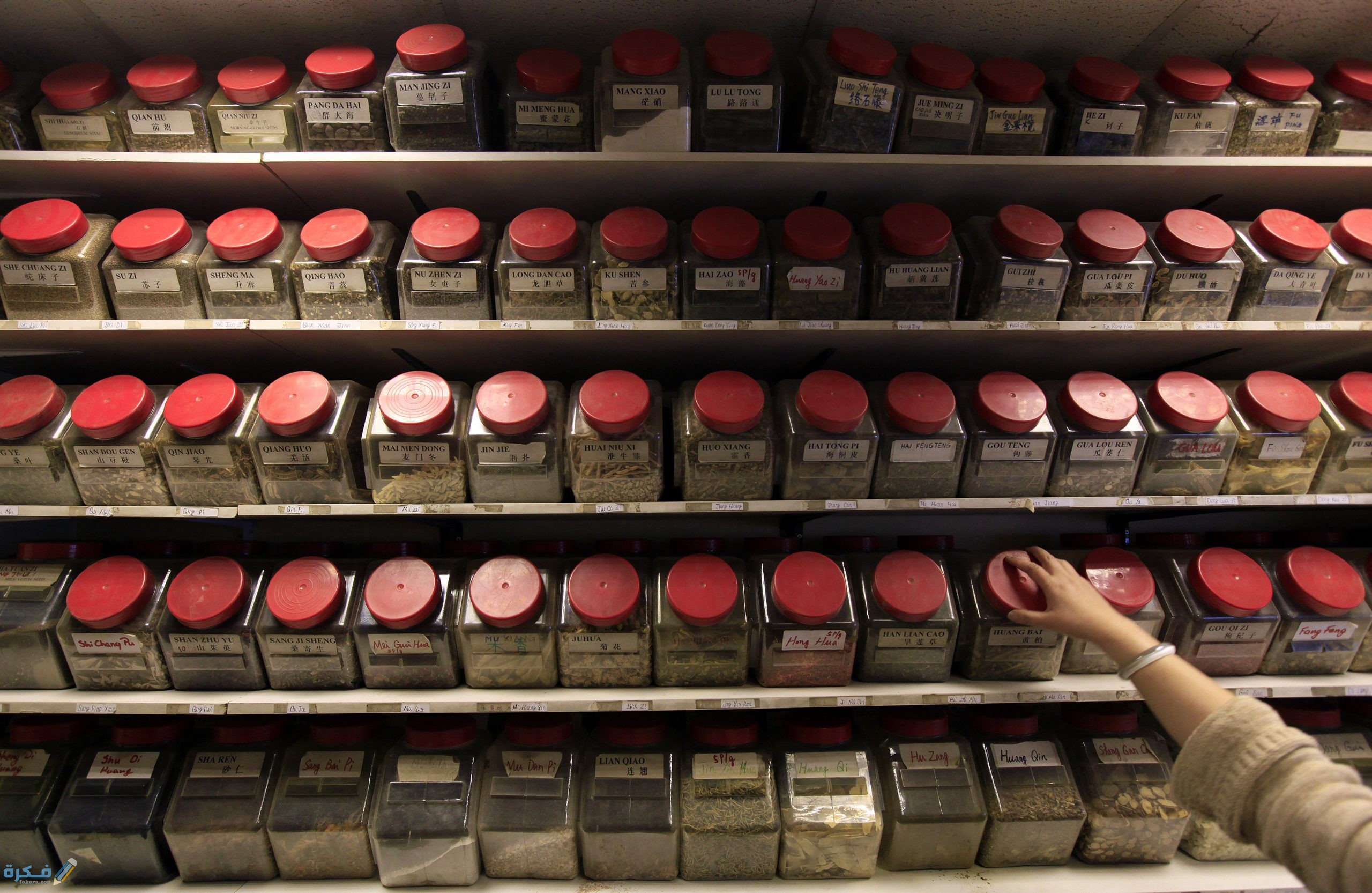 الأدوية والعلاجات