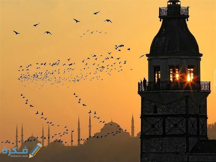 2019 5 27 1 50 27 482