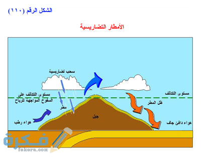 67515233 2705068892855253 6583247200392839168 n