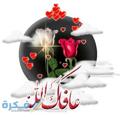 6849187.10274209621986377