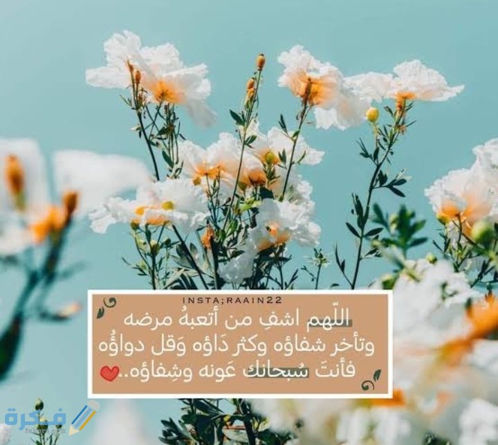 IMG ٢٠٢١٠٣٠٤ ٠٣٢٠٥٣