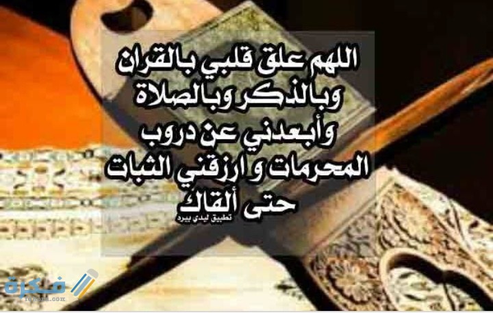 IMG ٢٠٢١٠٣٠٥ ٢٣٤٧١٤