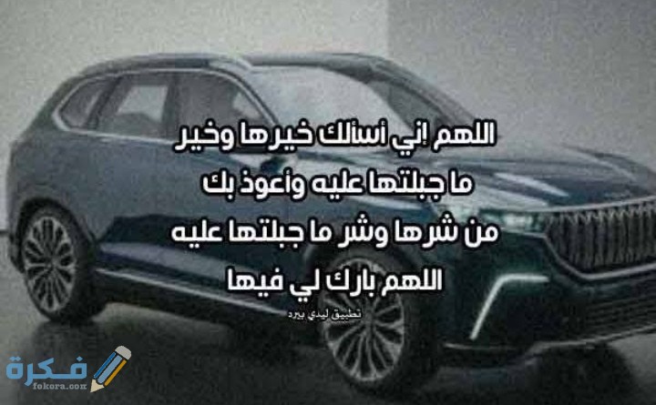 IMG ٢٠٢١٠٣٠٧ ٠١١٤٢٢