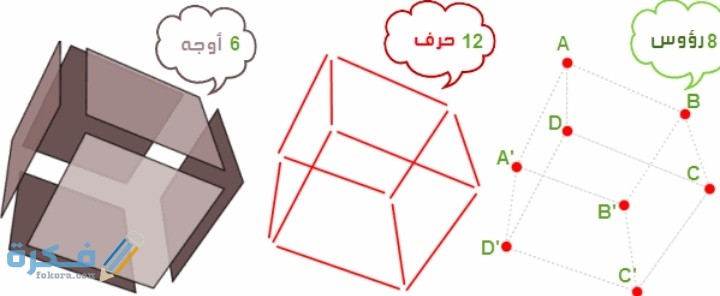 IMG ٢٠٢١٠٣٠٨ ٢٣٤٨١٩