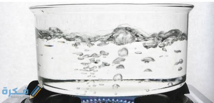 IMG ٢٠٢١٠٣٠٨ ٢٣٤٩٤٣