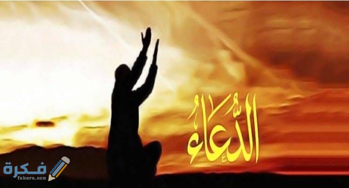 IMG ٢٠٢١٠٣١٠ ١٠٤٠٤١