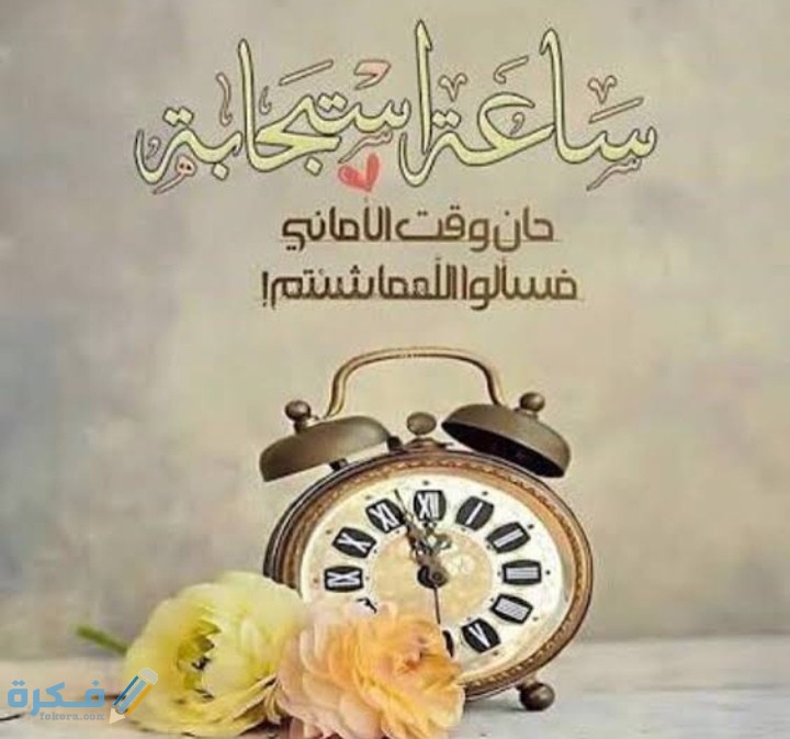 IMG ٢٠٢١٠٣١١ ٠٨٤١٣٠