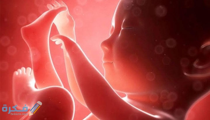 IMG ٢٠٢١٠٣١١ ٠٨٤٤٣١