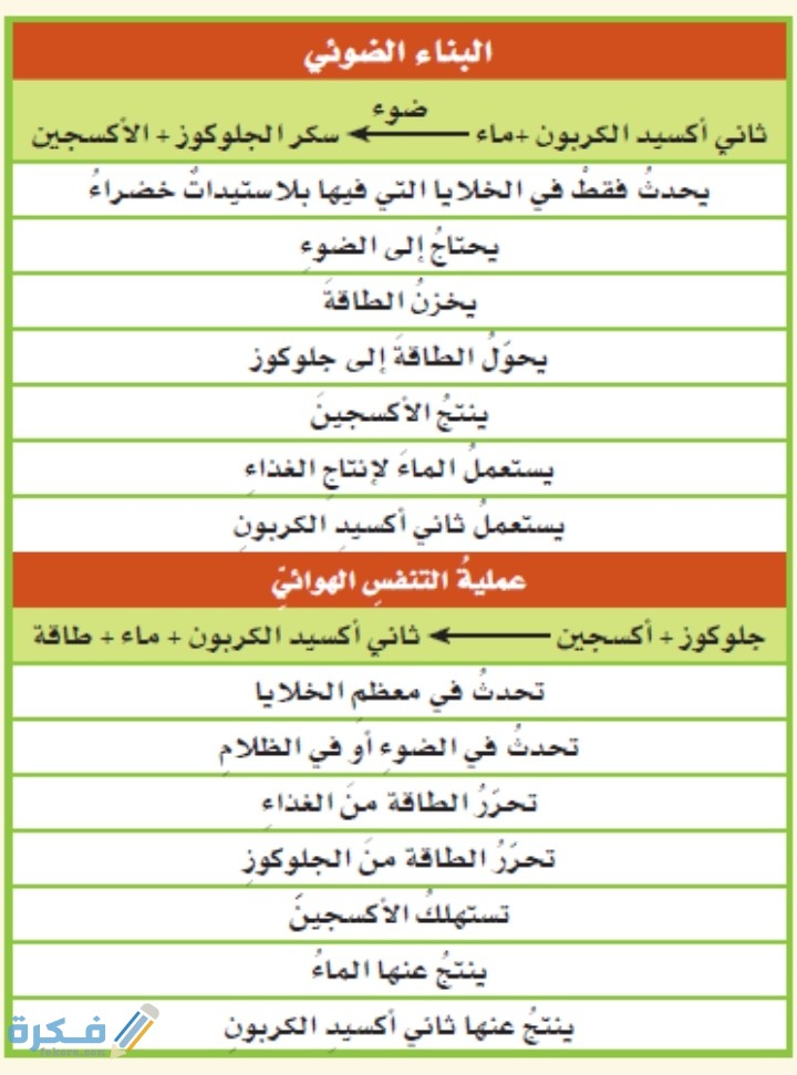 المقارنة بين التنفس الخلوي والبناء الضوئي 4 المقارنة بين التنفس الخلوي والبناء الضوئي