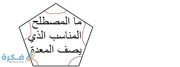 ما المصطلح المناسب الذي يصف المعدة علوم اول متوسط