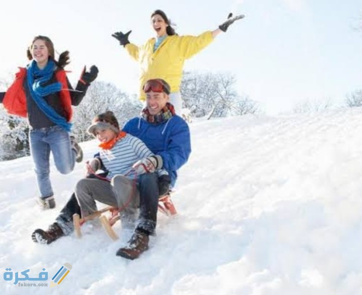 انزلاق الزلاجات فوق الجليد بسهولة بسبب قلة قوة الإحتكاك بينهما