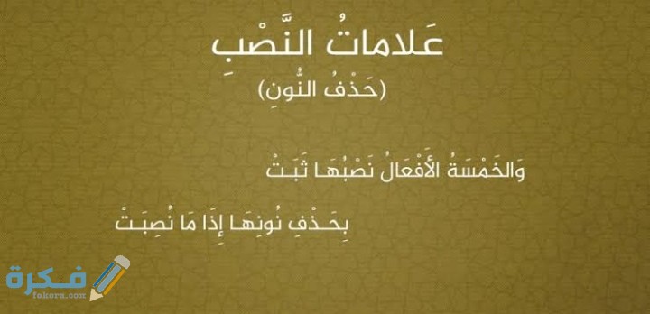 IMG ٢٠٢١٠٣١٤ ٠٧٢٧٣٧