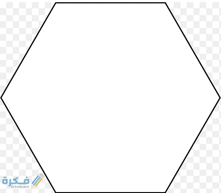 IMG ٢٠٢١٠٣١٦ ٠٤٣١٤١